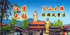 爱抠比网江苏无锡灵山大佛旅游风景区